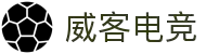 威客电竞·(中国)VK GAMING | VK eSports
